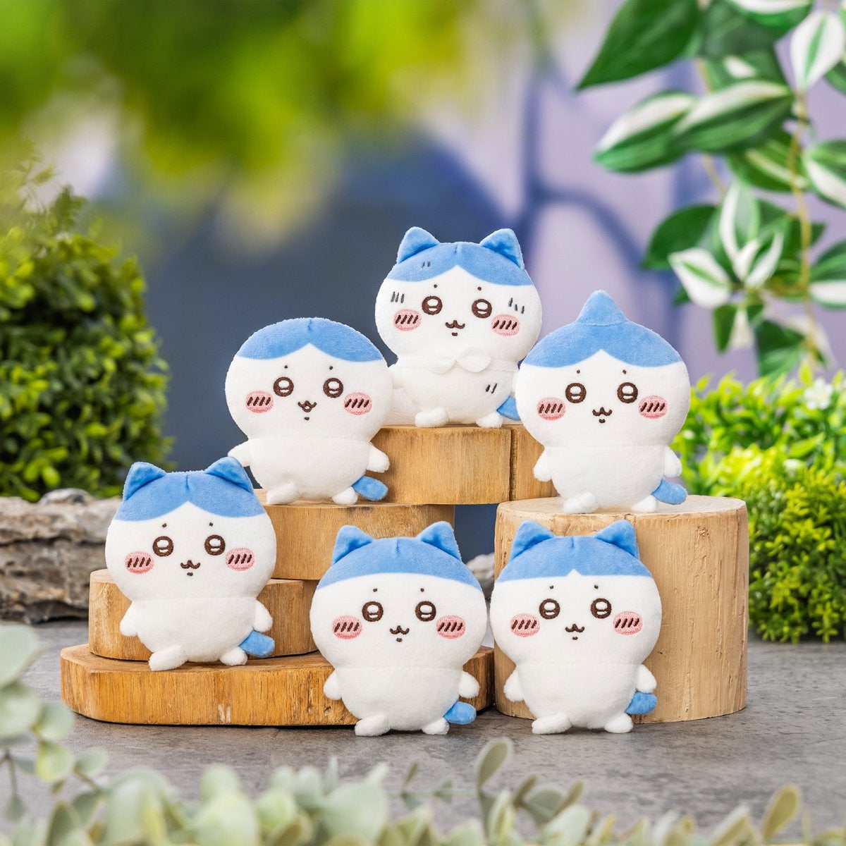 Chiikawa / 小八 一番賞